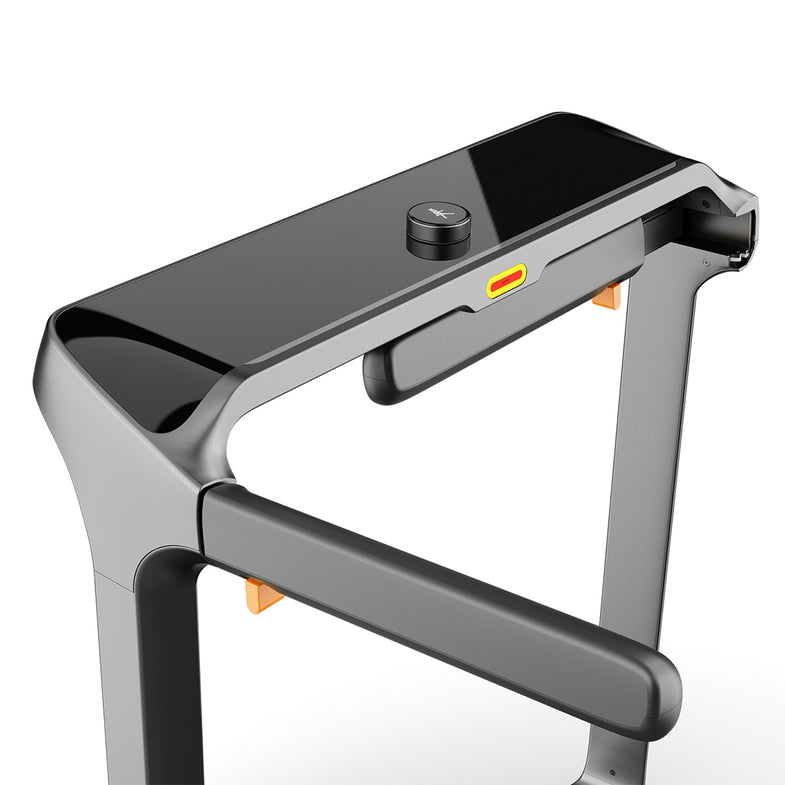 WalkingPad X218 Double-Fold Walking and Running Treadmill