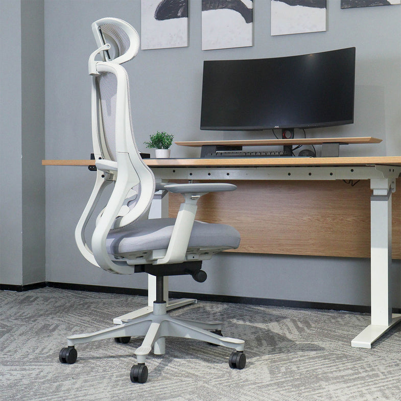 DM8 Ergonomic Office Desk Chair (White/Grey)
