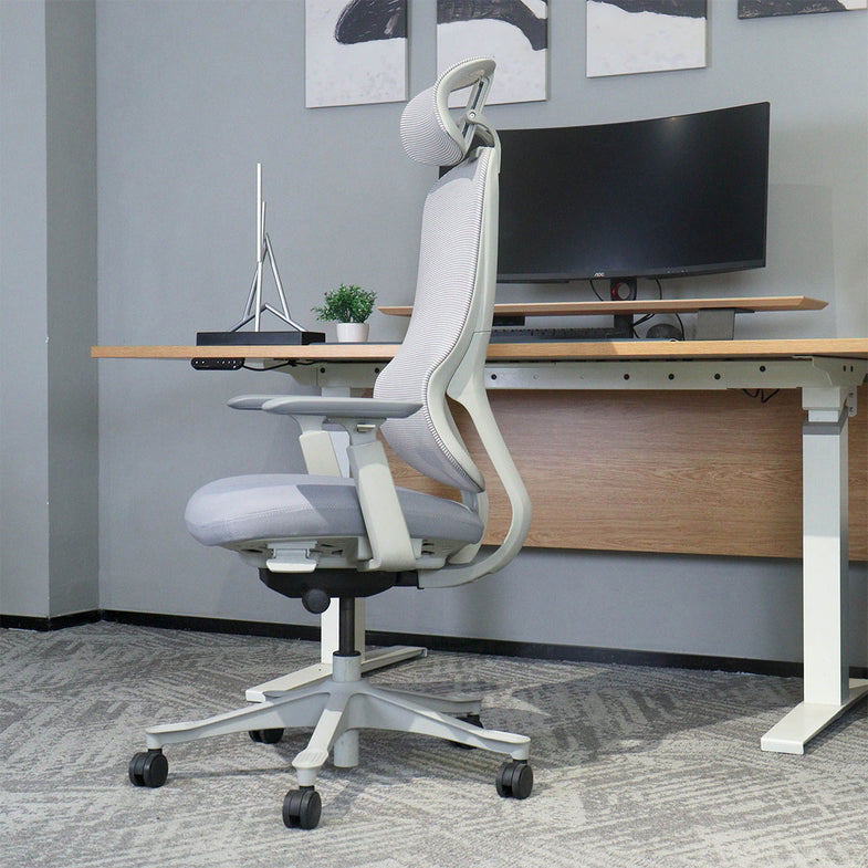 DM8 Ergonomic Office Desk Chair (White/Grey)