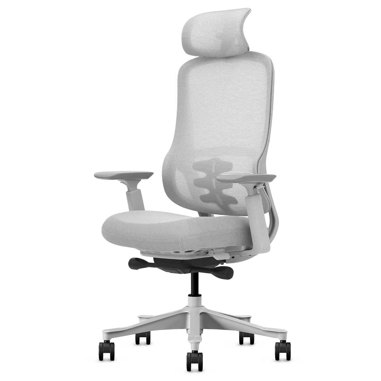 DM8 Ergonomic Office Desk Chair (White/Grey)