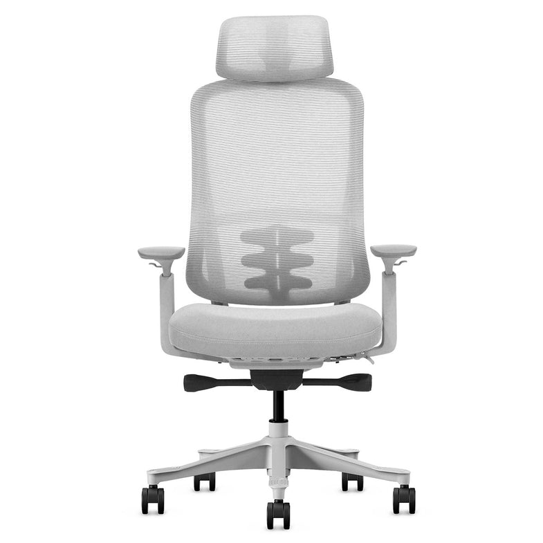 DM8 Ergonomic Office Desk Chair (White/Grey)