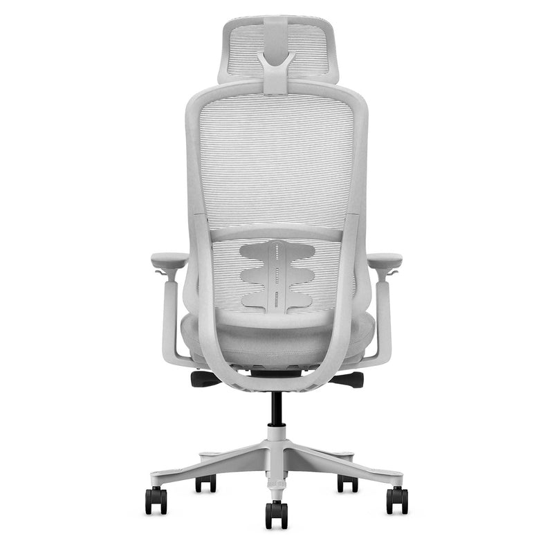 DM8 Ergonomic Office Desk Chair (White/Grey)