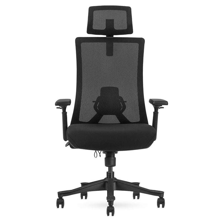 DM9 Ergonomic Mesh High Back Office Chair
