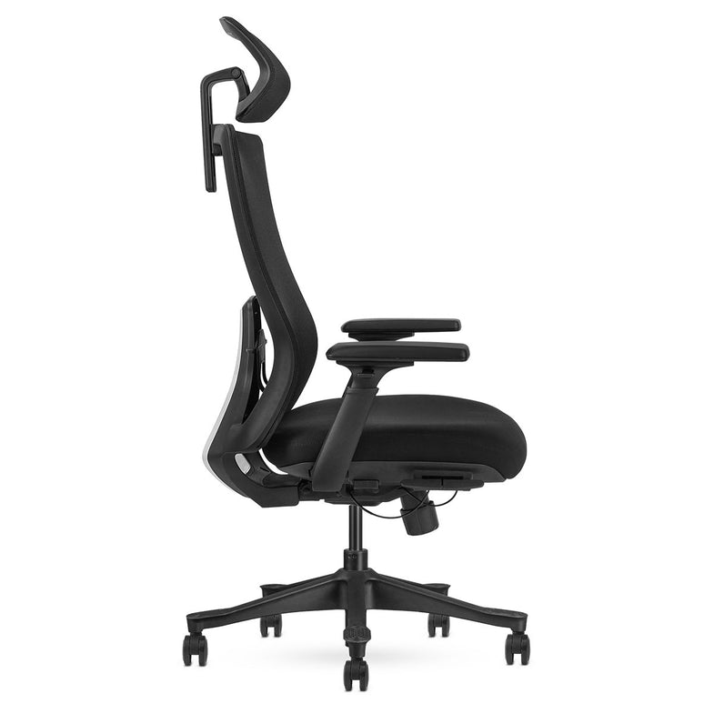 DM9 Ergonomic Mesh High Back Office Chair