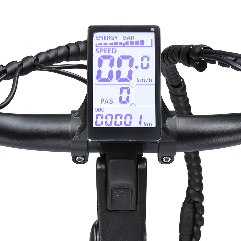 E-Moover Cargo Bike - Blue