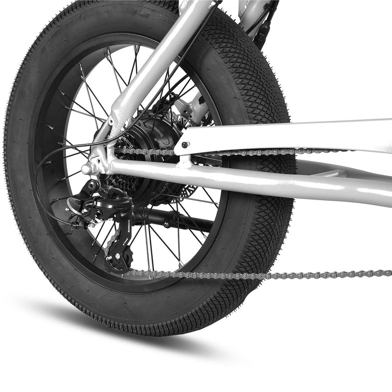 E-Raptor 20