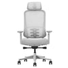 DM8 Ergonomic Office Desk Chair (White/Grey)