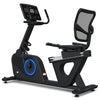 RBX-120 Commercial Recumbent Bike