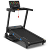 Pursuit Treadmill