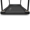 Reformer 2 Safety Rehabilitation Treadmill