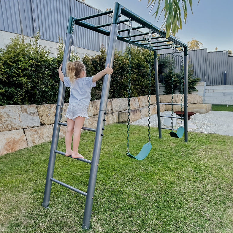 Stanley Commercial Steel 2-in-1 Monkey Bars & Swing Set