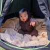 Comfy Cocoon Nest Swing and Frame