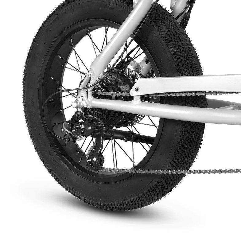 E-Raptor 20