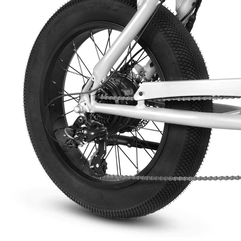 E-Raptor 20