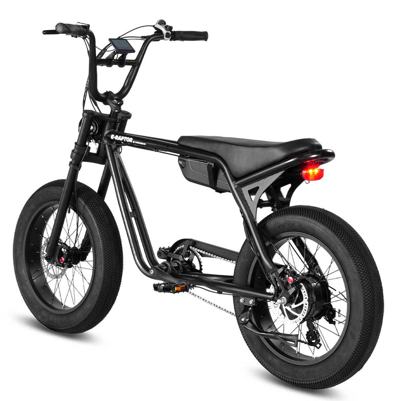 E-Raptor 20