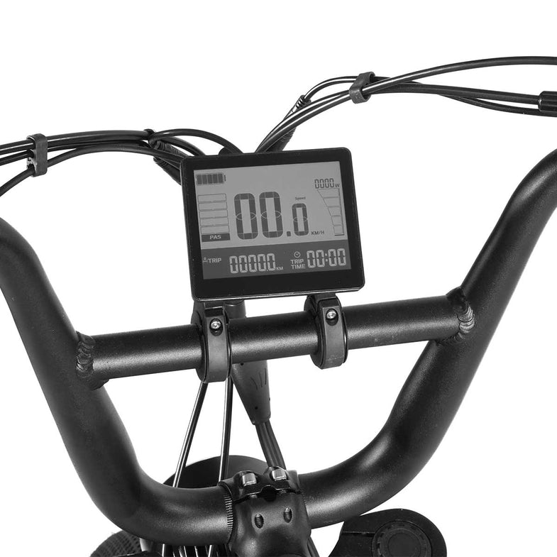 E-Raptor 20