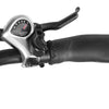 E-Raptor 20" Electric Street Bike - Matte Black (250w)