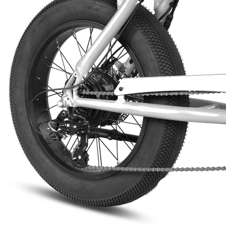 E-Raptor 20