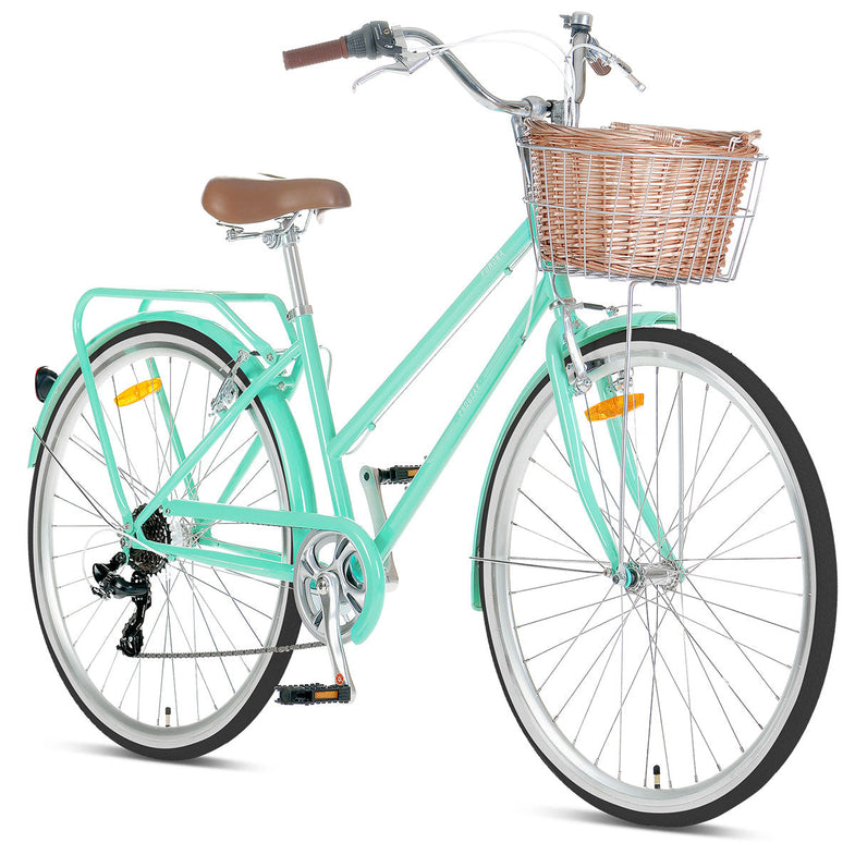 Pomona Retro Bike 15