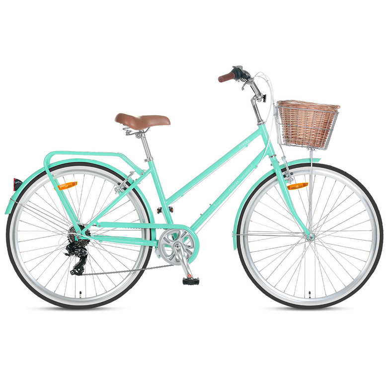 Pomona Retro Bike 15