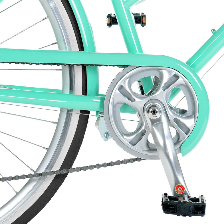 Pomona Retro Bike 15