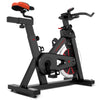SP-310 (M2) Spin Bike